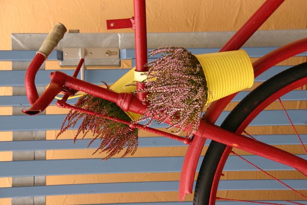 Ferienhof Dittrichs Erben راديبول المظهر الخارجي الصورة